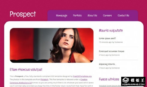 紫红色前景动态网页模板