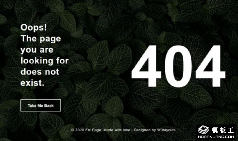 暗叶404错误页面模板