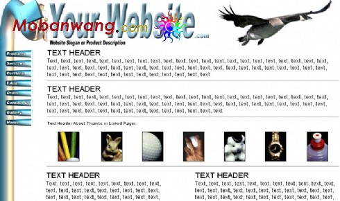 欧美简单个人网页模板