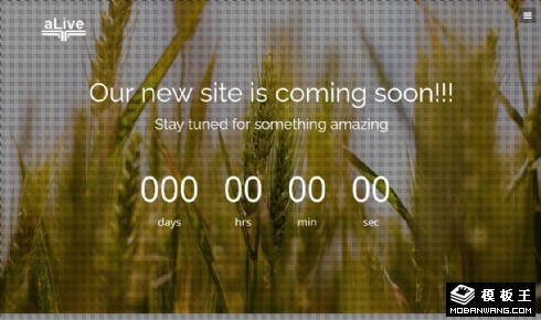 稻穗倒计时响应式网页模板