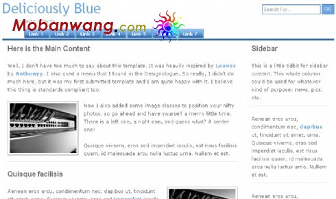 漂亮蓝色导航BLOG网站模板