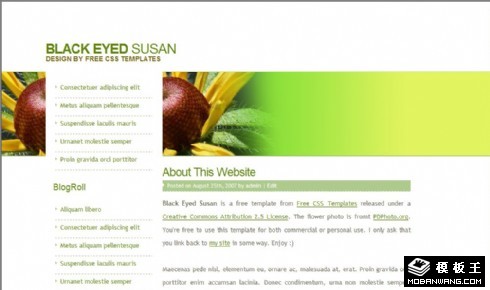 黑眼睛的苏珊BLOG网页模板