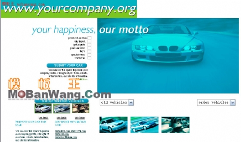 欧美汽车查询网站模板