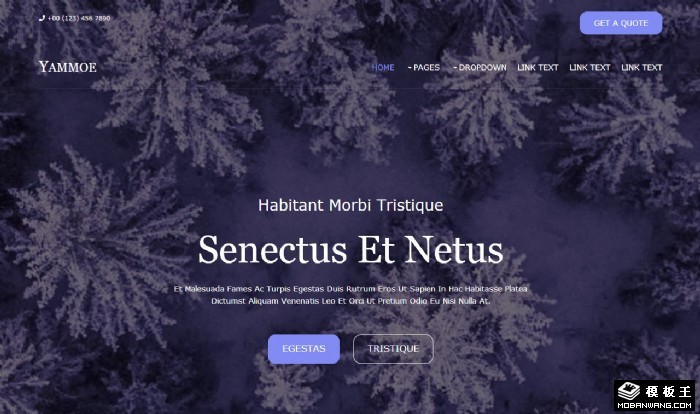 艺术摄影服务展示网页模板