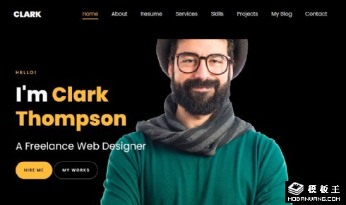 个人技术服务展示响应式网页模板