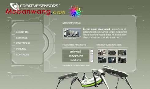 探测器研发团队网页模板