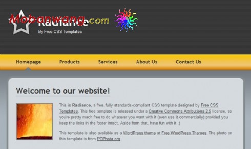 信息资源黄色标题网页模板