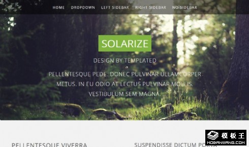 绿色光晕设计响应式网页模板