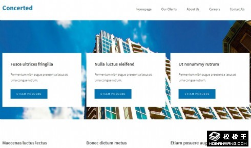 蓝色信息标签网页模板