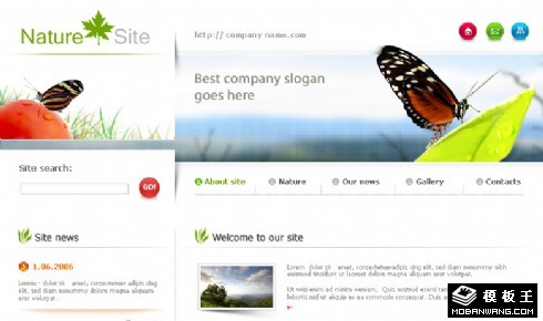 天然生态研究网页模板