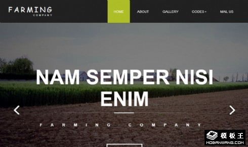 农作物生产响应式网页模板