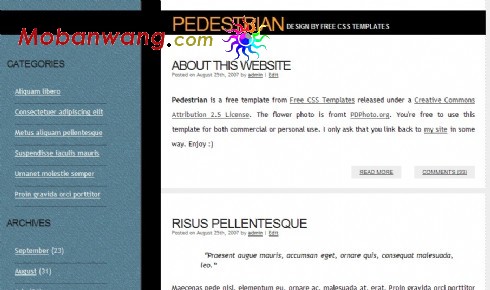 平淡主题BLOG网页模板