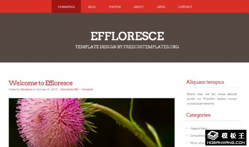 花语绽放日志网页模板