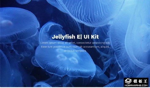 水母UIKIT组件响应式网页模板