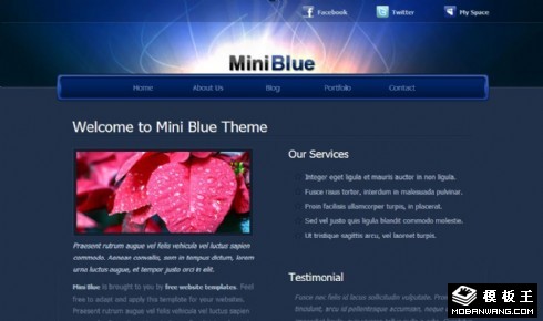 蓝光信息服务介绍网页模板