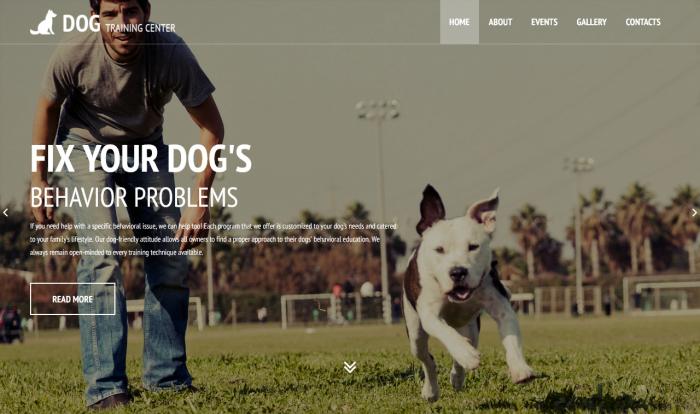 专业狗狗训练中心网站模板