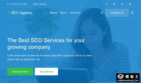SEO营销推广响应式网页模板