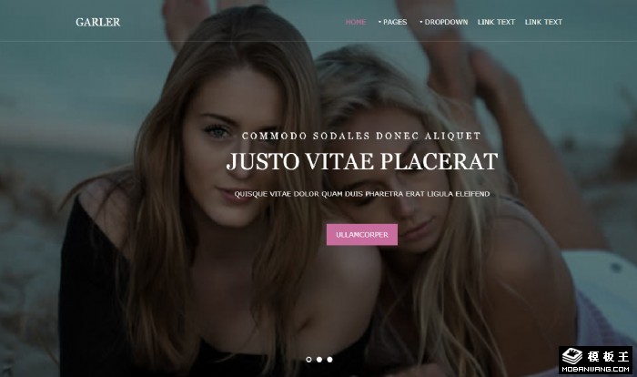 乡居休闲时刻网页模板