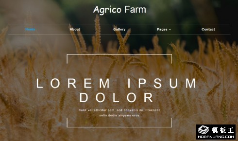 农业科技服务响应式网站模板