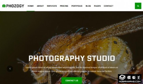 摄影作品图库响应式网页模板