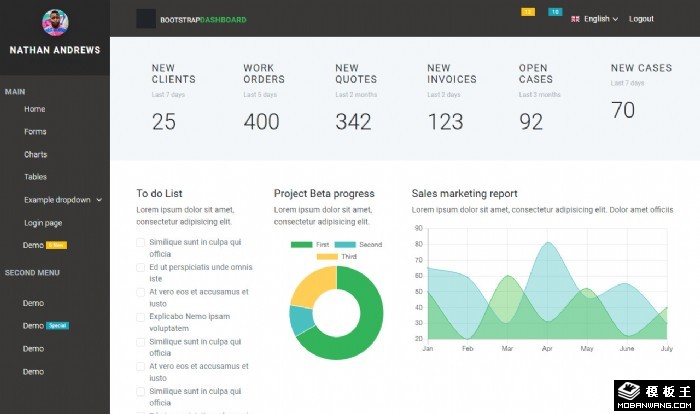 数据报告管理后台模板