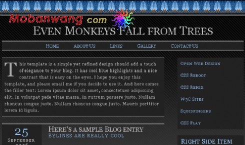 黑色个人运动BLOG网页模板