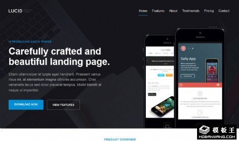 APP应用内服务介绍响应式网页模板