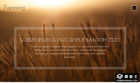 机械化农场响应式网站模板
