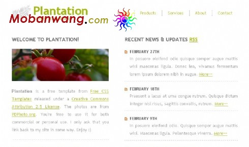 种植园地信息网页模板