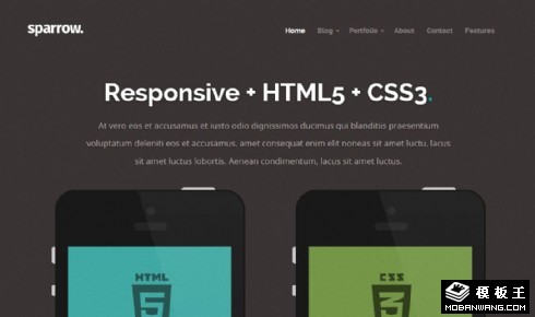 艺术展览活动响应式网页模板