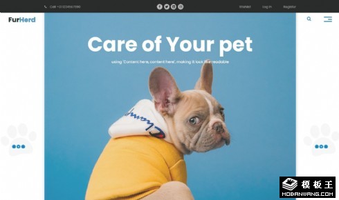 宠物收养接种疫苗响应式网页模板