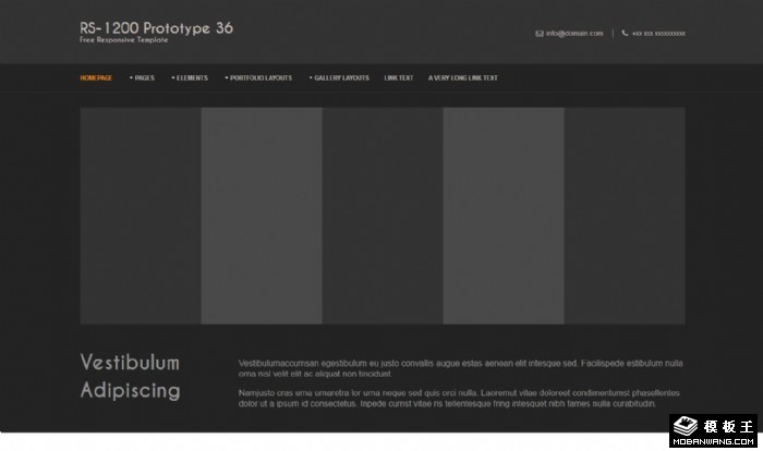黑白信息动态网站模板系列36