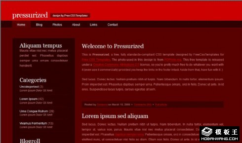 枣红色信息BLOG网页模板