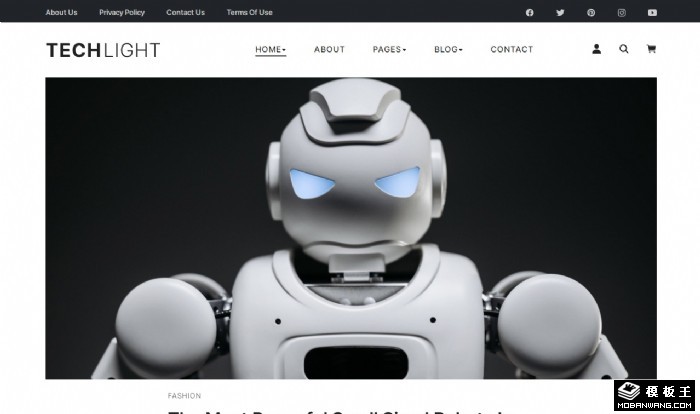 科技之光商城博客网站模板