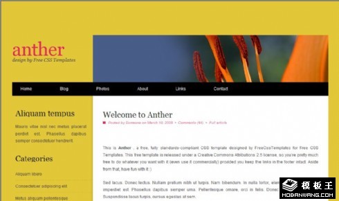 花药信息BLOG网页模板