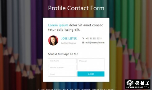 简洁联系表单响应式网页模板