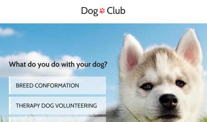 狗狗宠物俱乐部单页模板