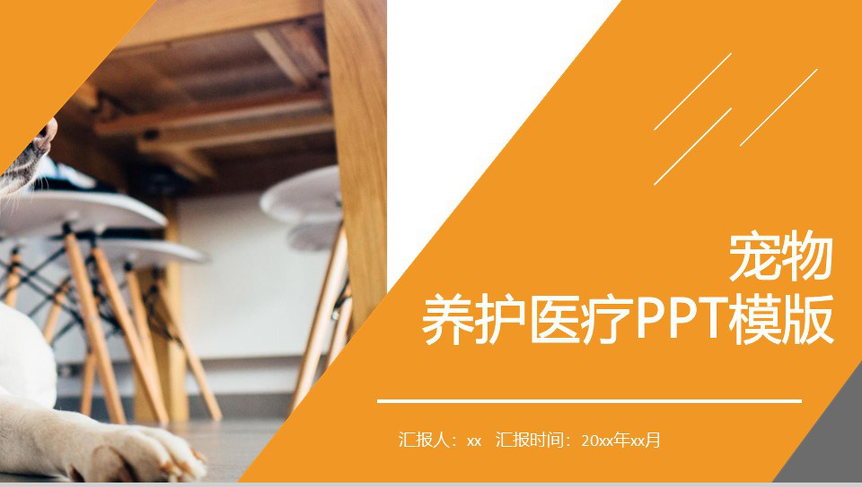 可爱风宠物养护医疗PPT模板