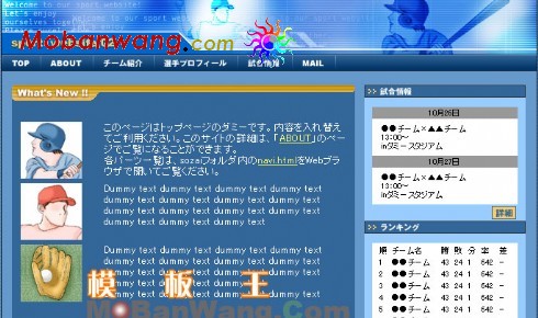 棒球教学网页模板