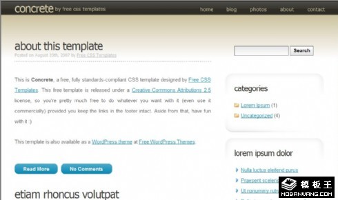 特别风格BLOG网页模板