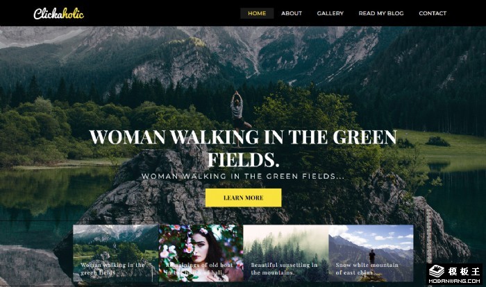 美景风光休闲博客网站模板