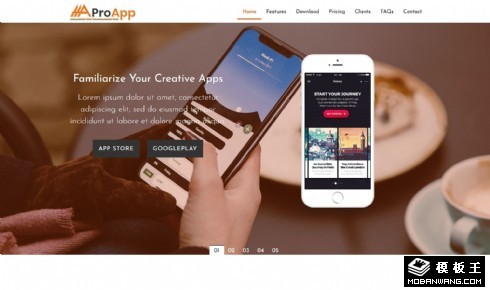 APP功能定制开发网页模板