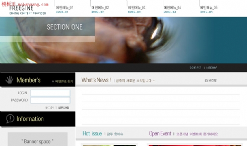 韩国公司企业文化网页模板