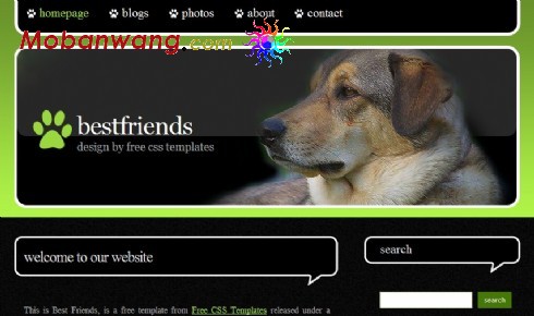 狗-最忠实的朋友主题网页模板