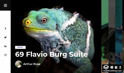 全屏图片展示响应式网页模板