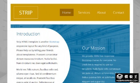 彩色左右信息介绍响应式网页模板