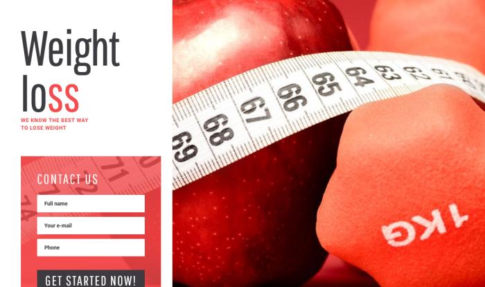 专业减肥指南单页模板