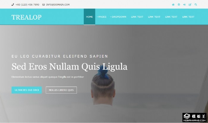 商务动态信息展示网页模板