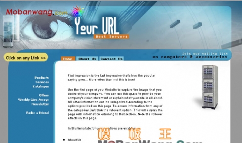 欧美互联网络公司网站模板