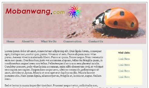 七星瓢虫主题网页模板